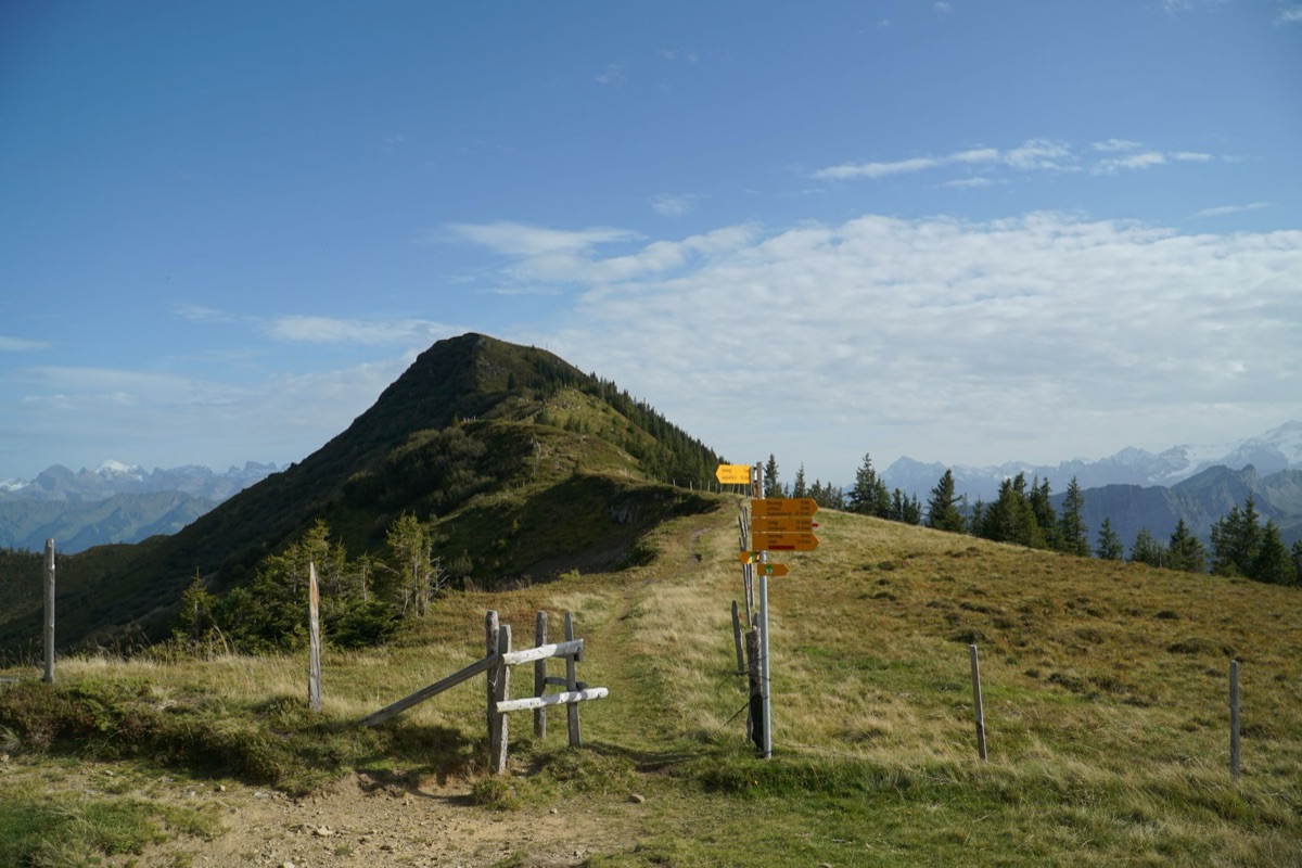 Alpine hiking trail with markers