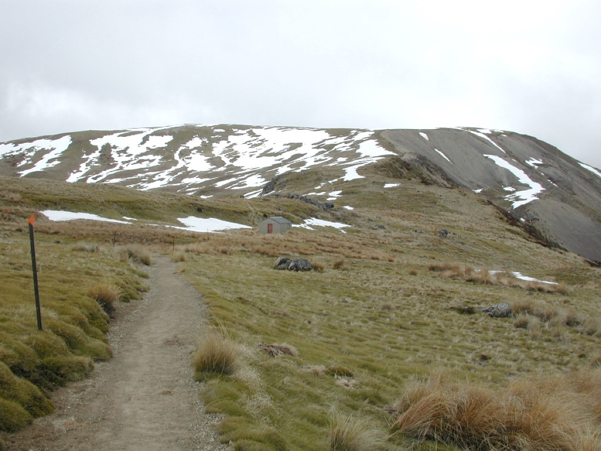 Hiker on alpine trail with map
