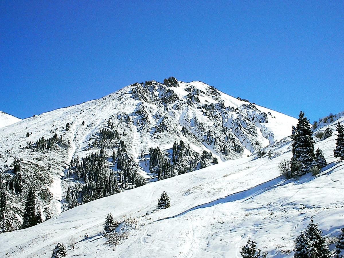 Snowy mountain range at night with starlit sky