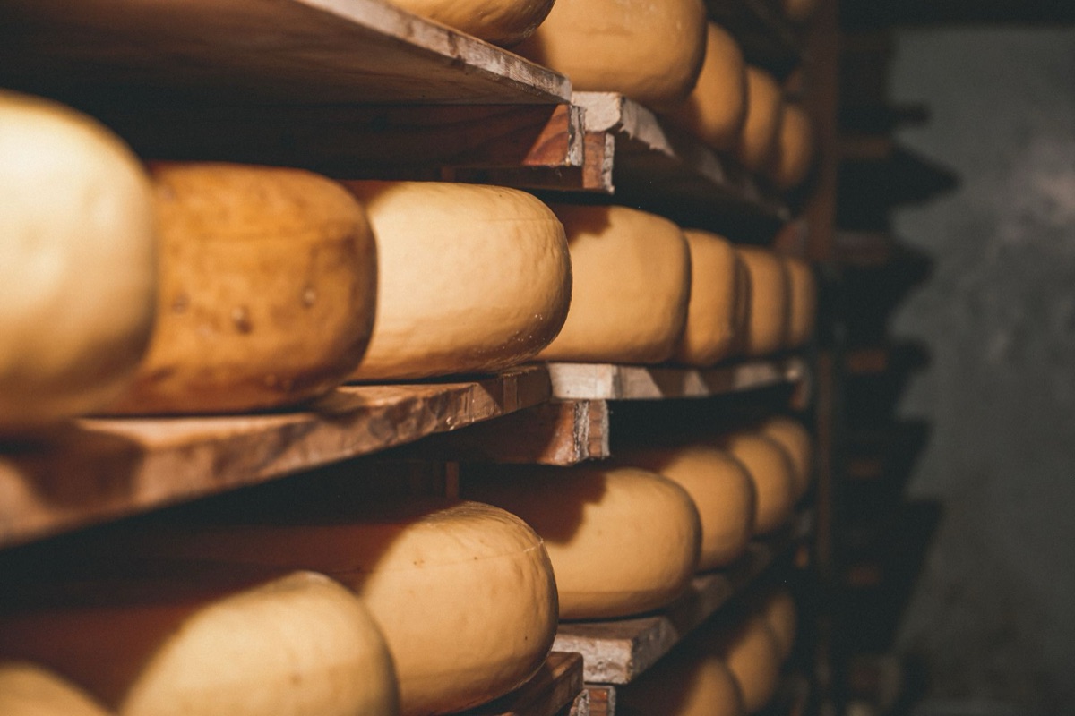 alpina cheese wheel