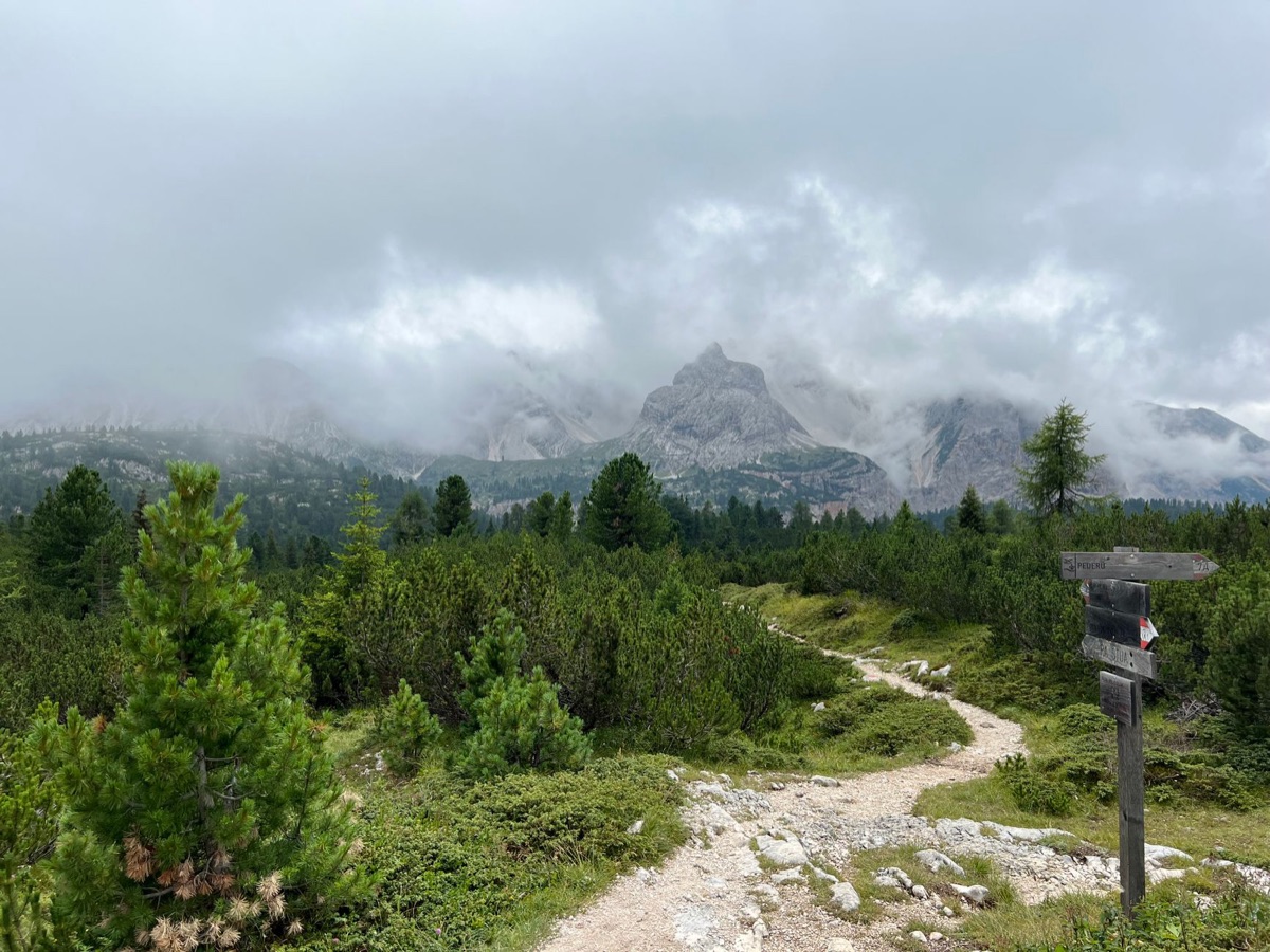 Alpine hiking trail with signboard