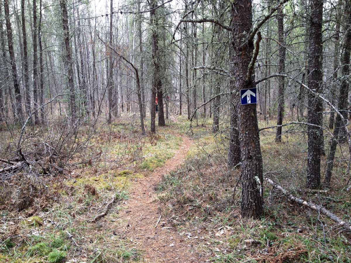 Hiking trail markers in the Alps
