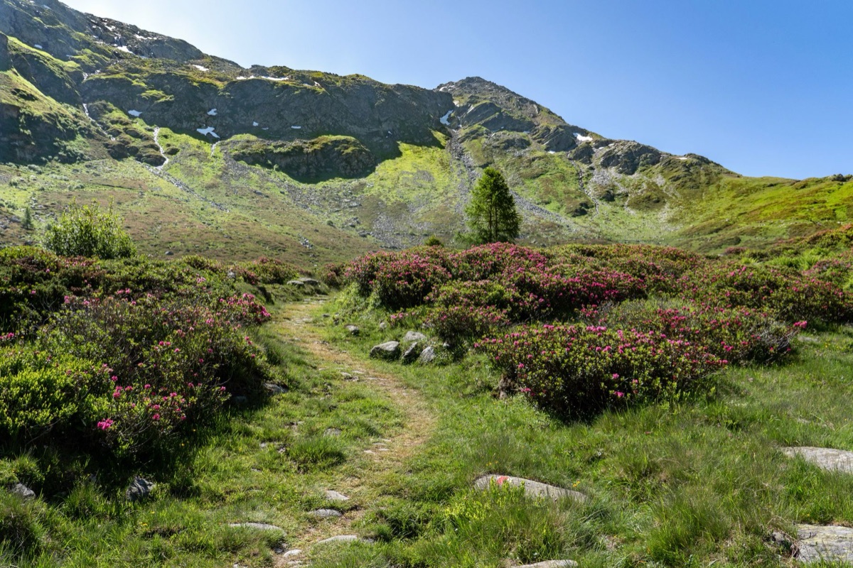 Alpine hiking trail with elevation markers