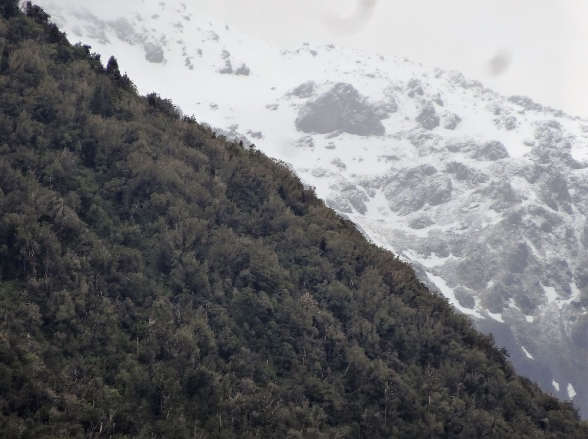Une voie de chemin de fer alpin enneigée
